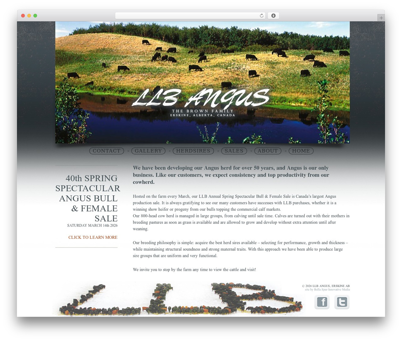 LLB Angus theme WordPress - llbangus.com LLB Angus theme WordPress - llbangus.com