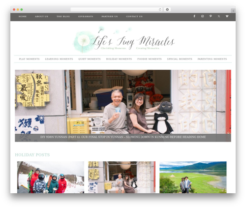 Madeleine Theme WordPress theme - lifestinymiracles.com