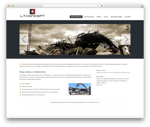 ProMotion theme WordPress - ltconcept.pl
