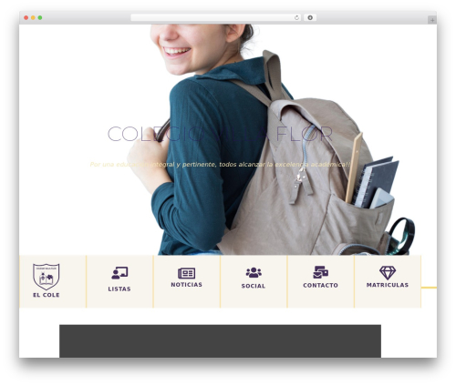 Thinkrank WordPress plugin - colegiovillaflor.com