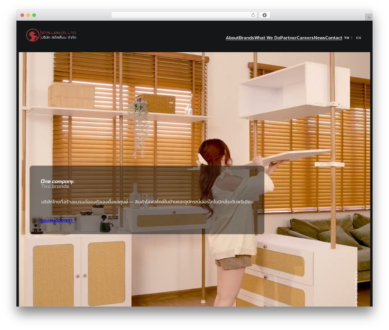 Theme WordPress Stallion - www.stallion-th.com