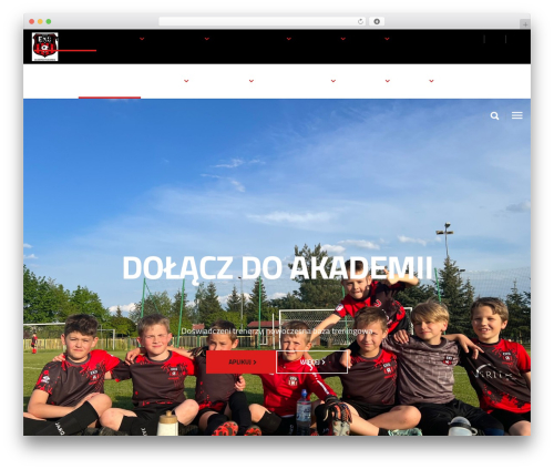 Trophy WordPress theme - kolektyw.org