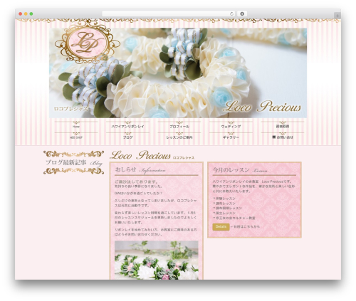 WordPress theme DBS - locopre.com