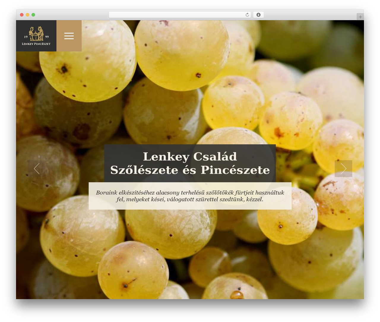 WordPress theme Lenkey - lenkeypinceszet.hu WordPress theme Lenkey - lenkeypinceszet.hu