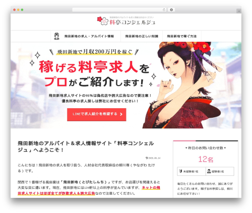 Aurora heatmap premium WordPress plugin - xn--hckxamf9t8a3cx171b5d3b.jp