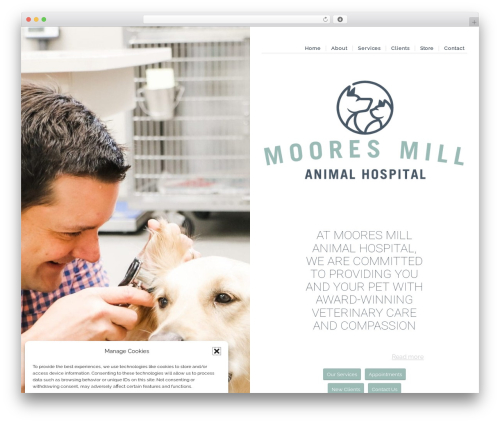 WordPress theme AMPwp - mmvets.com