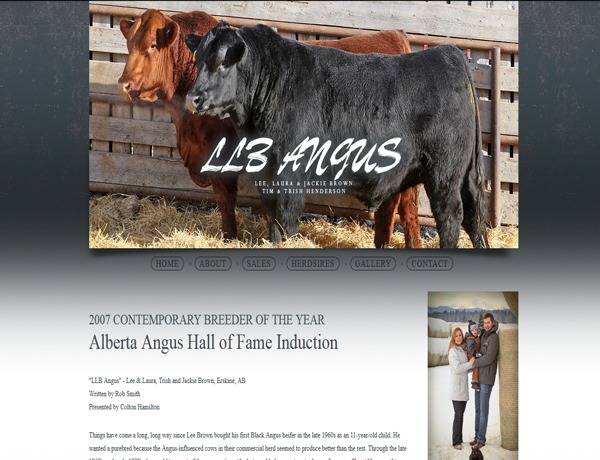 WordPress theme LLB Angus by Baseone