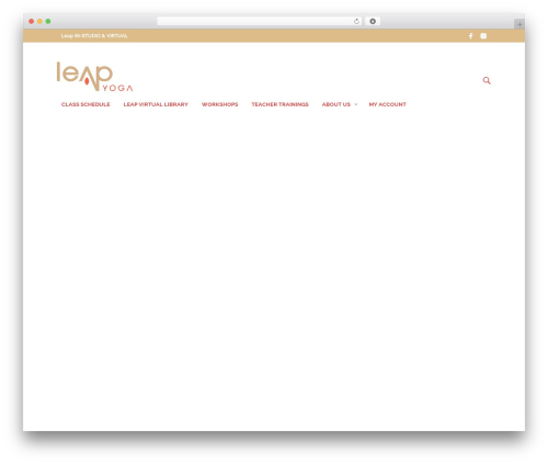 Mr tailor extender WordPress plugin - leapyoga.net