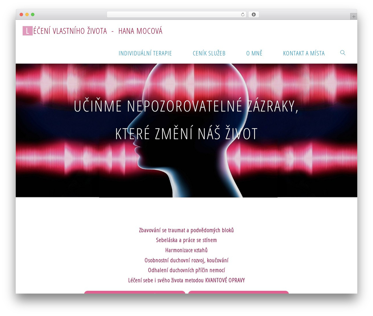 WP theme Fluida - kvantove-leceni.cz