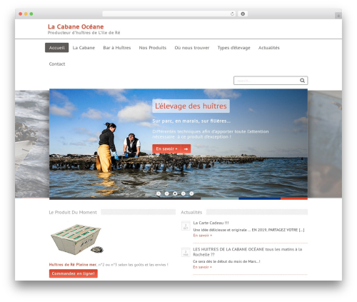WP theme NuElement - lacabaneoceane.com
