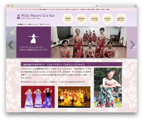 Aplan theme WordPress - la-care.org