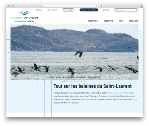 Best WordPress theme modules_base - baleinesendirect.org