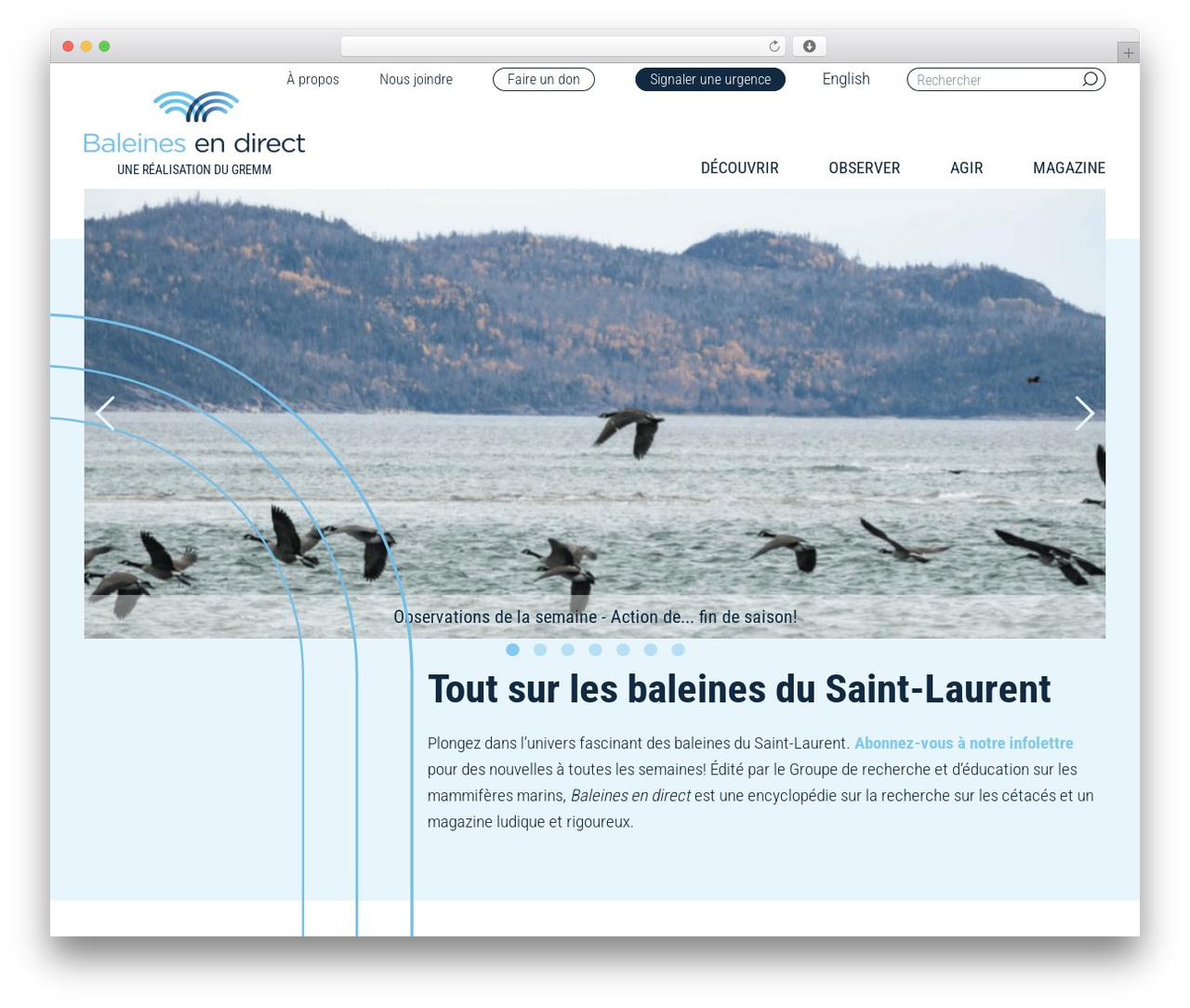 Best WordPress theme modules_base - baleinesendirect.org Best WordPress theme modules_base - baleinesendirect.org