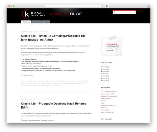 simpleX WordPress theme - kamilturkyilmaz.com