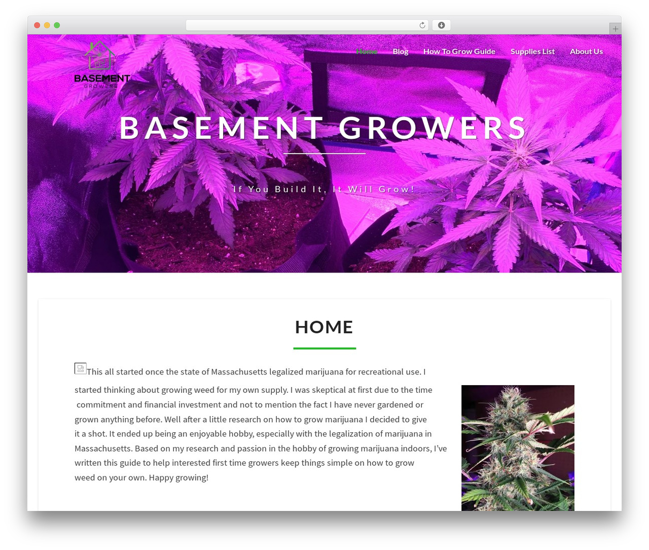 Theme WordPress Lighthouse - basementgrowers.com