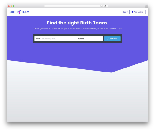 WordPress theme Listingpro - birthteam.net