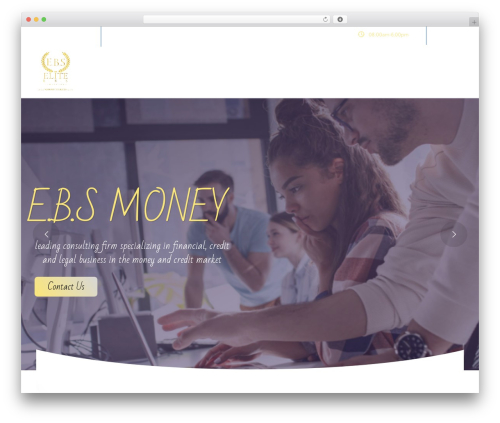 Braintech WordPress theme - ebs-money.com