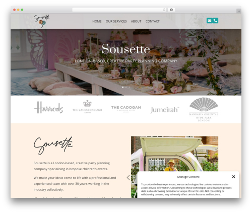 Divi instagram feed WordPress plugin - sousette.com