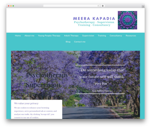 Animate on scroll WordPress plugin - www.meerakapadia.com