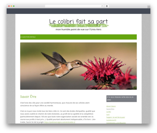 Gray Chalk theme WordPress - lecolibrifaitsapart.net