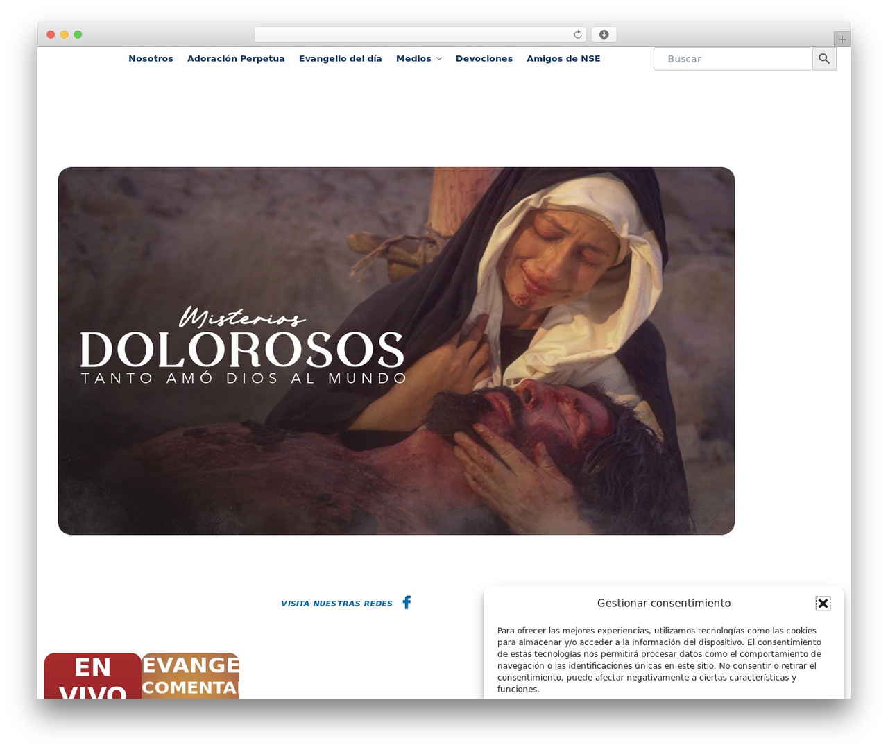 Hello Elementor theme WordPress - nsefundacion.com Hello Elementor theme WordPress - nsefundacion.com