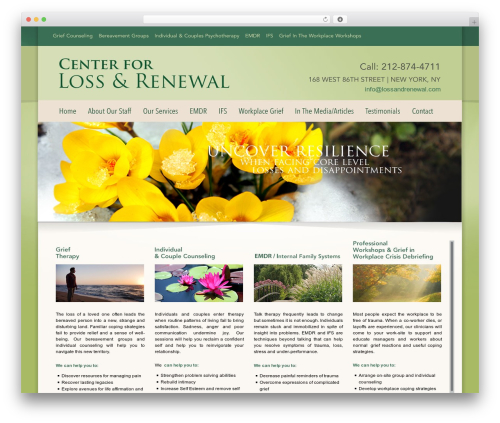 PRODUCTION THEME theme WordPress - lossandrenewal.com