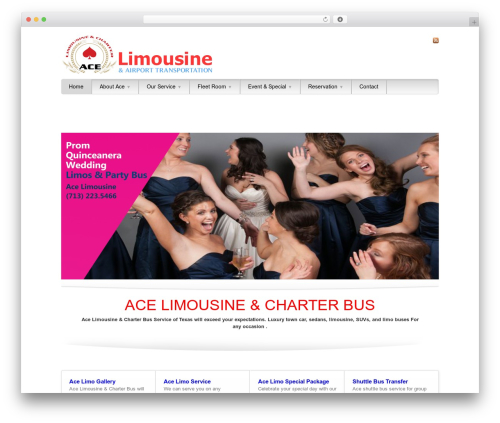 Styles with shortcodes WordPress plugin - limousinebyace.com