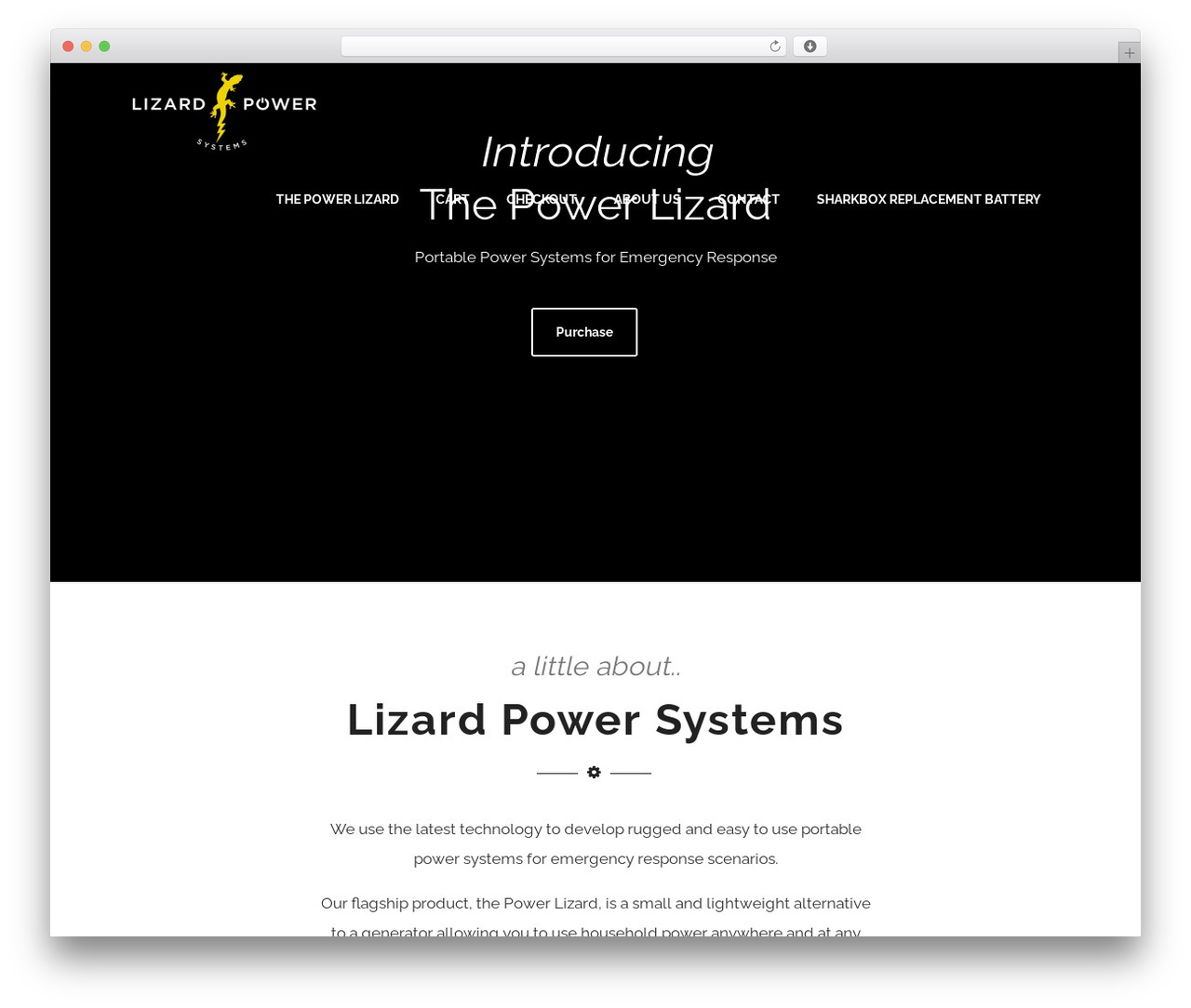 Theme WordPress Optimizer PRO - lizardpowersystems.com Theme WordPress Optimizer PRO - lizardpowersystems.com