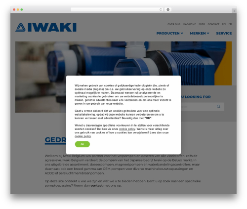 WordPress theme expl-theme - iwaki.be