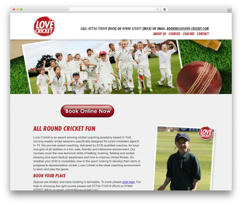 WordPress theme LC - love-cricket.com