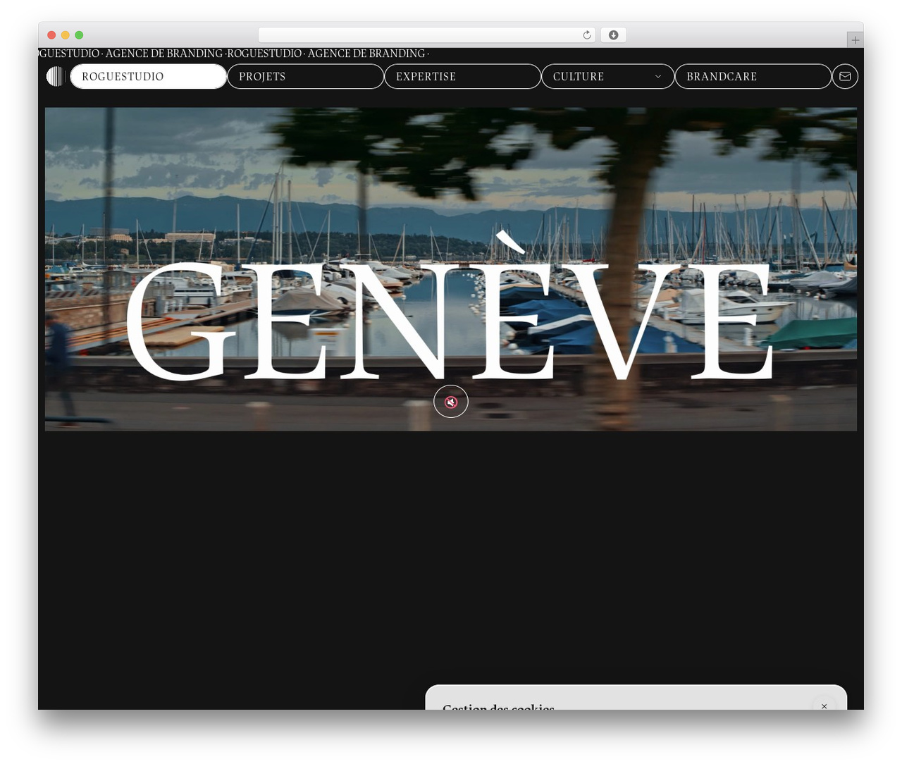 WordPress theme Rogue Theme - roguestudio.ch WordPress theme Rogue Theme - roguestudio.ch