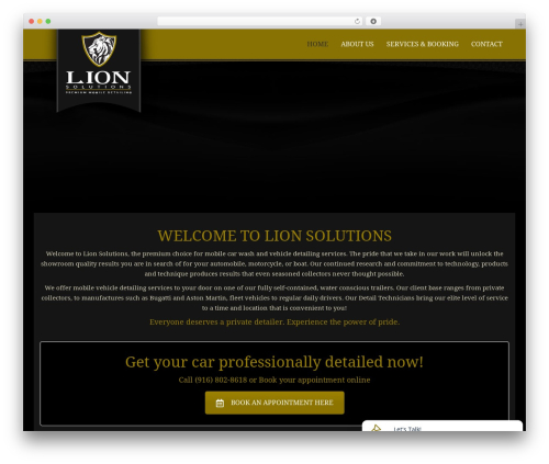 Top 25 Social Icons (top-25-social-icons) free WordPress plugin - lionsolutions.net