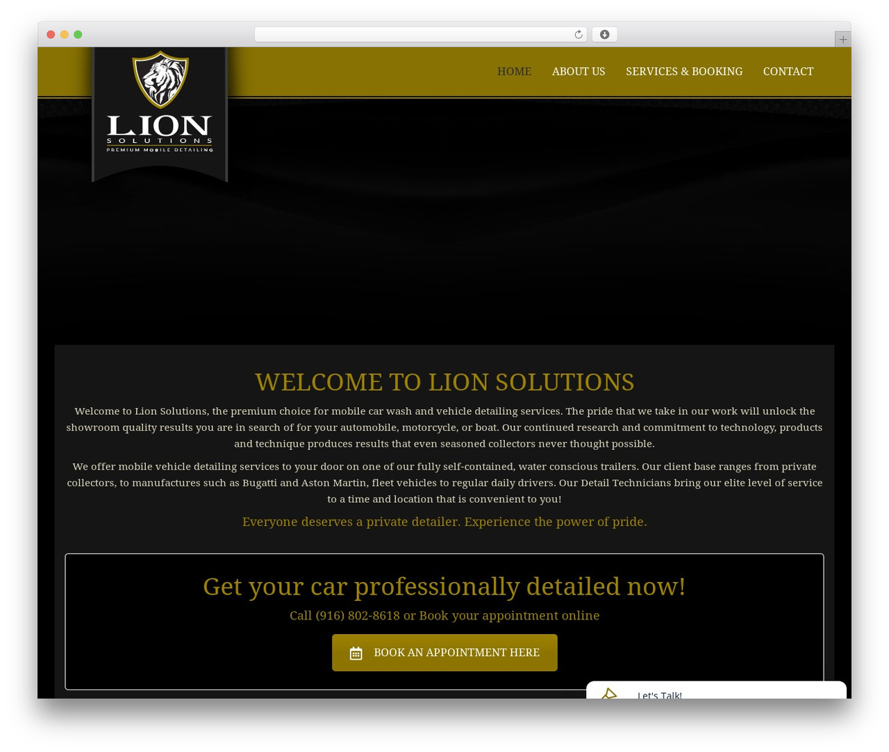 WordPress theme The7 - lionsolutions.net