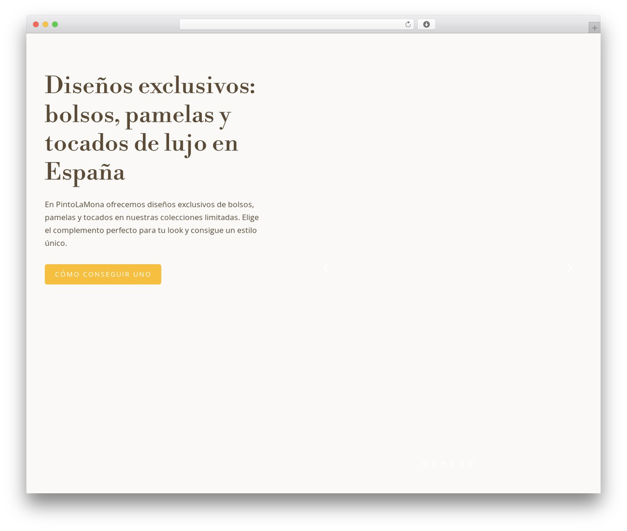 WP theme Constructor - pintolamona.com WP theme Constructor - pintolamona.com