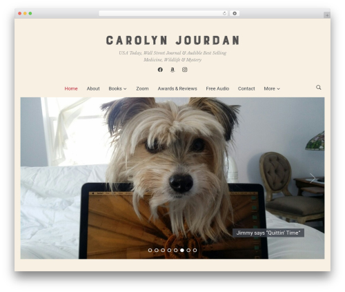 Eclipse WordPress theme - carolynjourdan.com