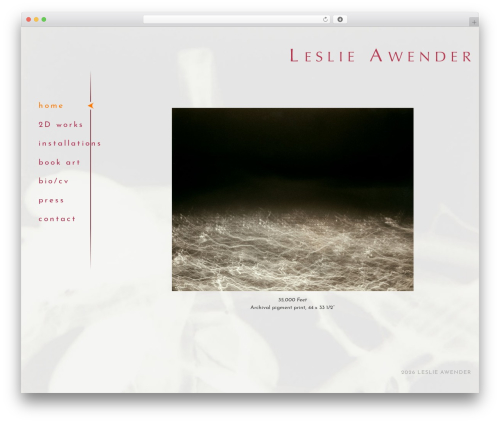 Editor theme WordPress - leslieawender.com