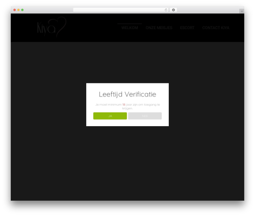 Team grid WordPress plugin - kiya.be