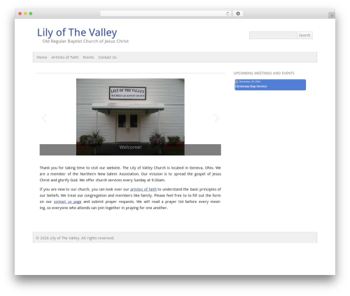 picochic WordPress theme - lilyofthevalley-orb.com