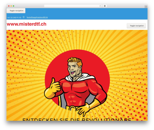 Zozothemes core WordPress plugin - dtf.ch
