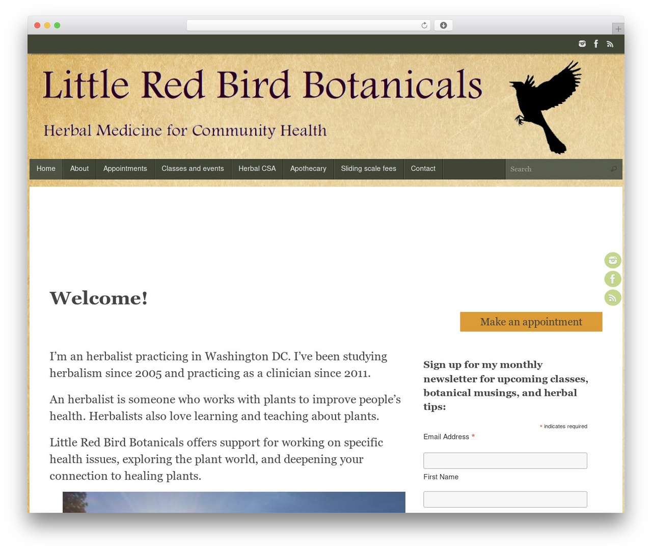 WordPress theme Tempera - littleredbirdbotanicals.com WordPress theme Tempera - littleredbirdbotanicals.com