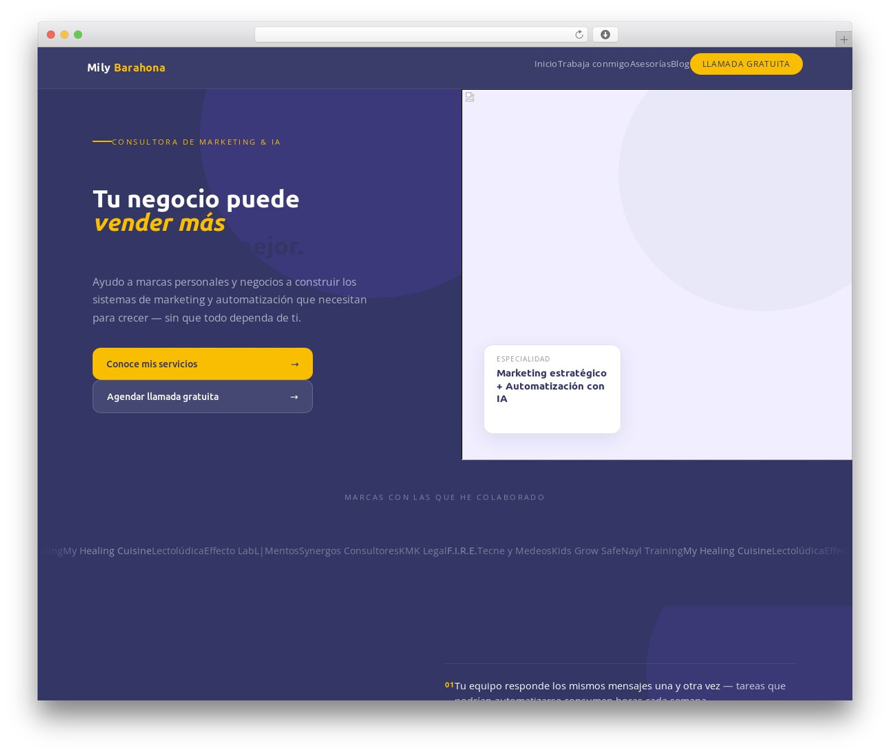 Flash best WordPress theme - milybarahona.com Flash best WordPress theme - milybarahona.com