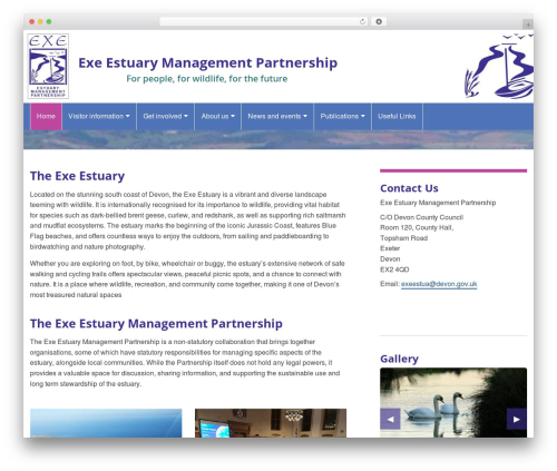 Dcc accessibility WordPress plugin - exe-estuary.org