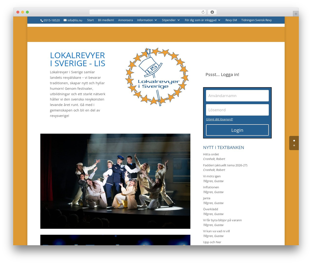 WordPress theme Divi - lis.nu