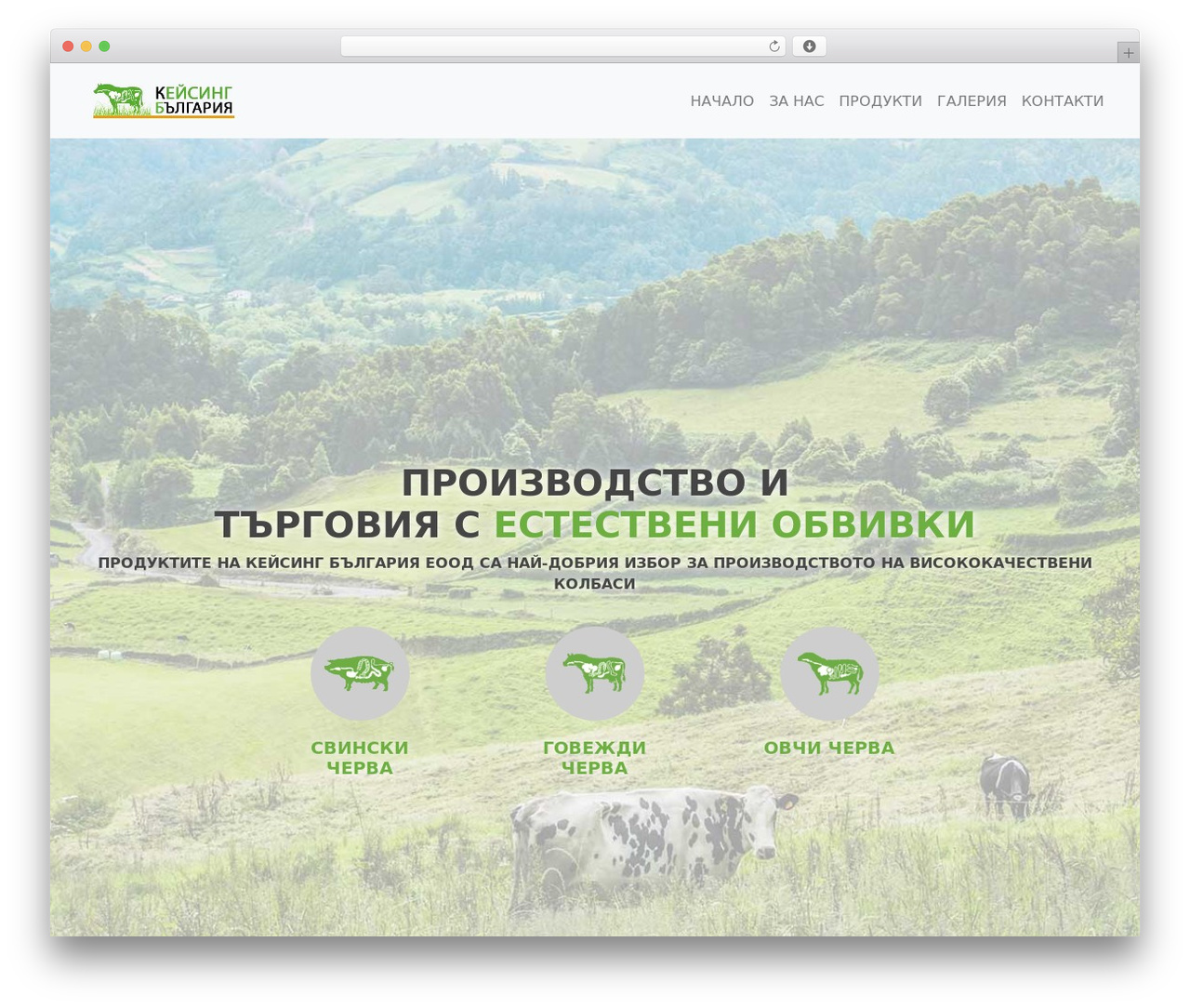 casingbg WordPress theme - casingbg.com