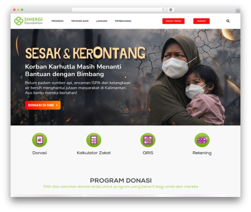DGWork WordPress theme - www.sinergifoundation.org
