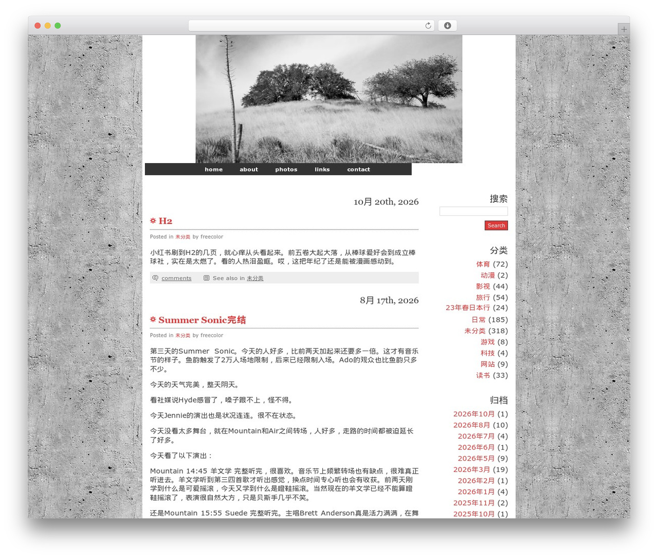 Falling Dreams WordPress theme - freecolor.net