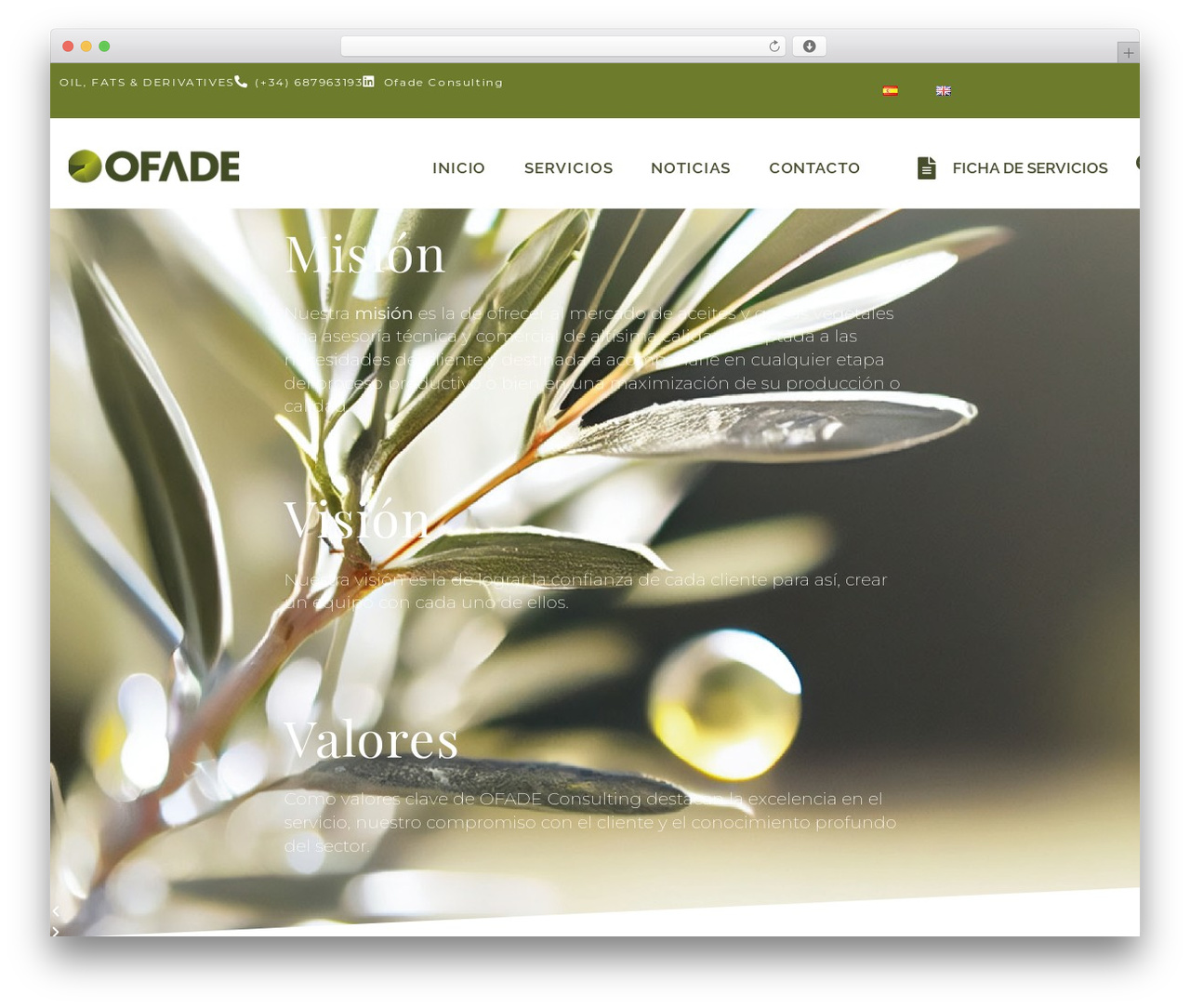 HyperTheme best WordPress theme - ofadeconsulting.com