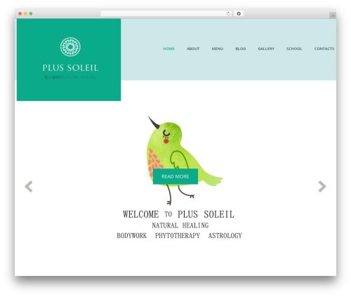 cherry theme WordPress - le-soleil-plus.com