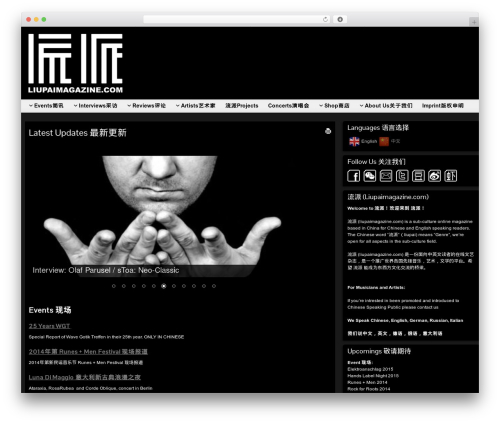 Ztranslate WordPress plugin - liupaimagazine.com