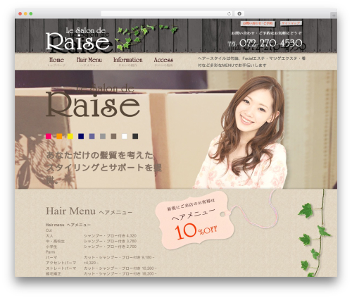 raise WP theme - lesalonderaise.com